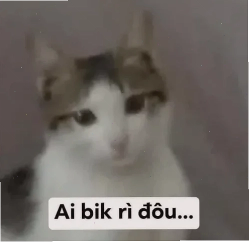 vô tội meme giả nai