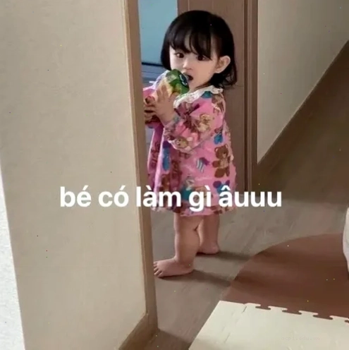 vô tội meme kết