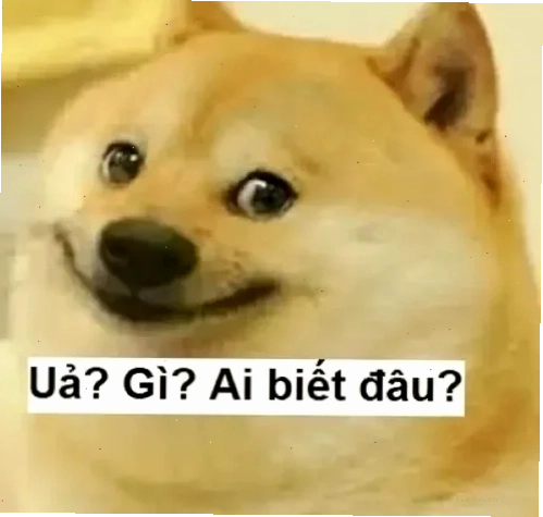 vô tội meme tòa án