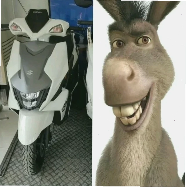 Voi meme bựa