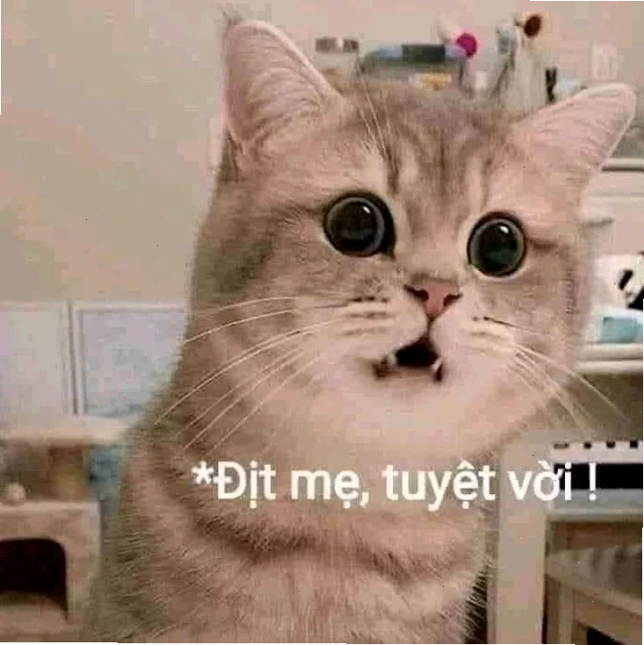Voi meme cười