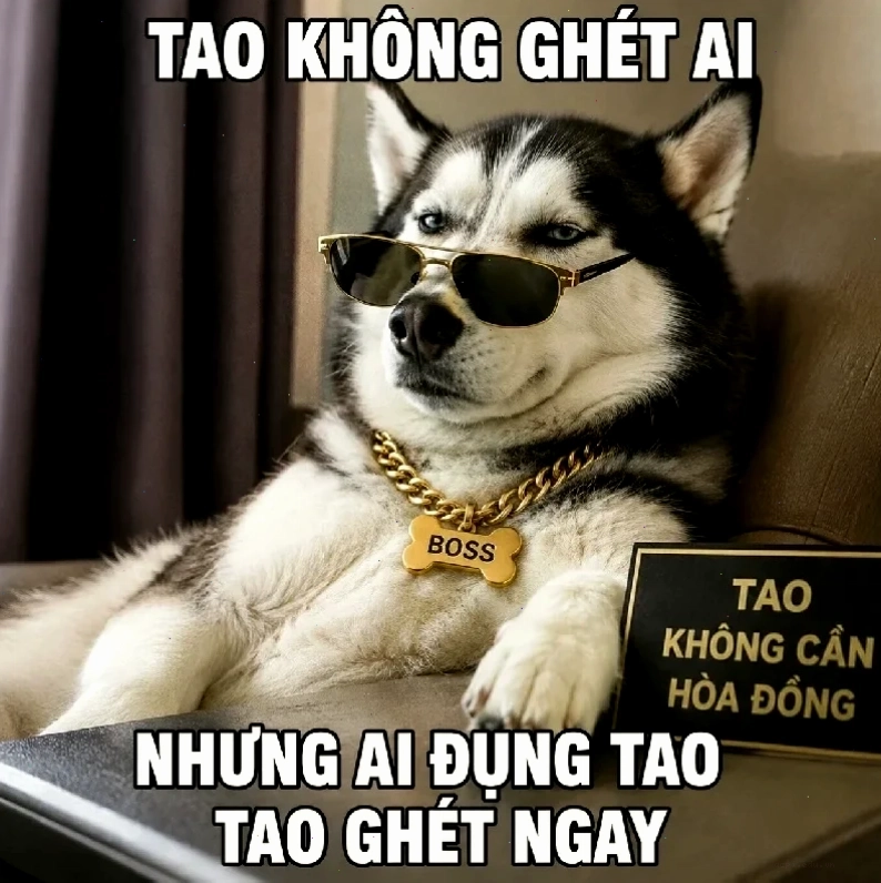 Voi meme giải trí