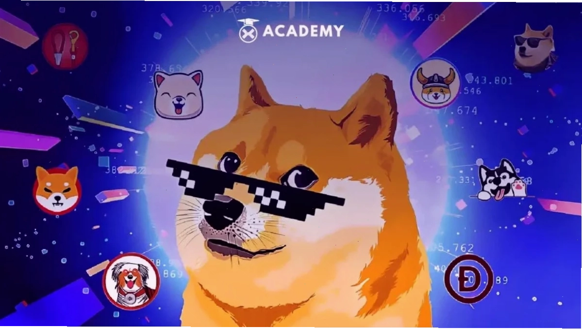 Voi meme lầy