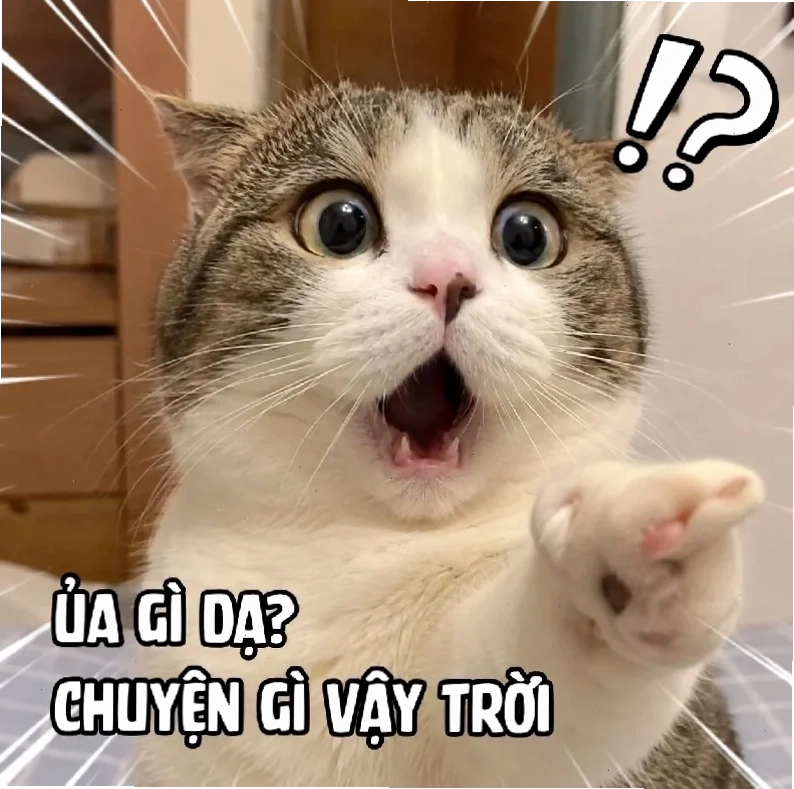 Voi meme vui