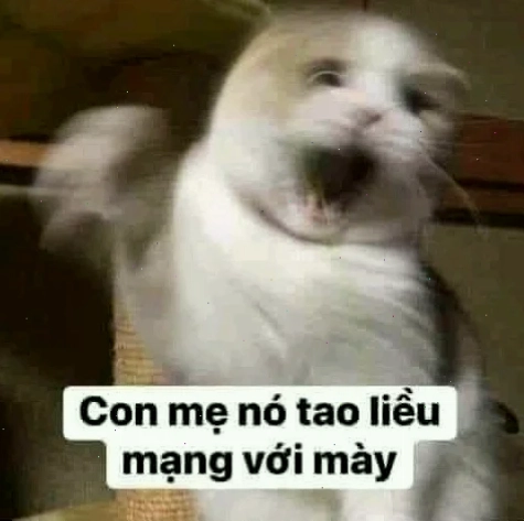 Voi memento biểu cảm
