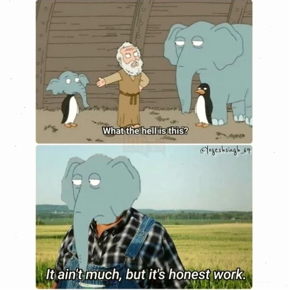 Voi memes vui nhộn