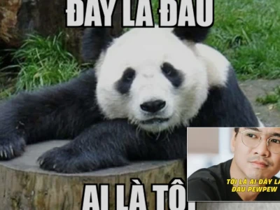 Bạn đã biết về đây là đâu tôi là ai meme cực hài hước chưa