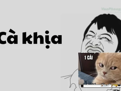 Bí kíp sử dụng meme cà khịa để không làm trò hề
