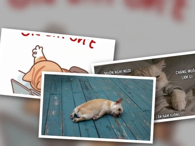 Bộ ảnh mệt mỏi meme lầy lội cho thế hệ deadline