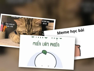 Bộ Meme Học Bài lầy lội cực hài cho mùa thi cử áp lực