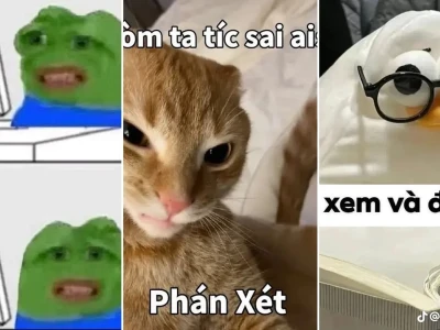 Bộ sưu tập đánh giá meme hài hước cho cộng đồng mạng
