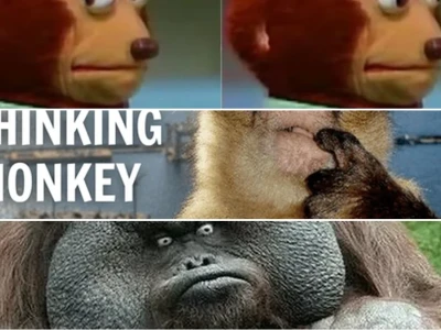 Bộ sưu tập khỉ meme lầy lội khiến dân mạng cười xỉu