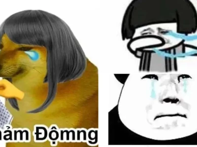 Bộ sưu tập meme cảm động rớt nước mắt cực xịn xò 2026