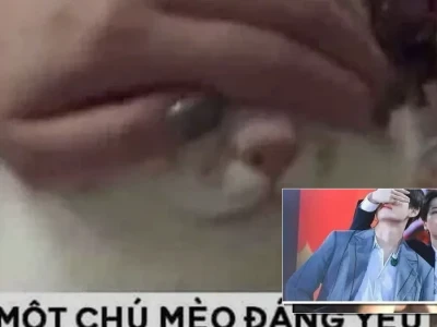 Bộ sưu tập meme che mắt siêu hài hước cho thanh niên