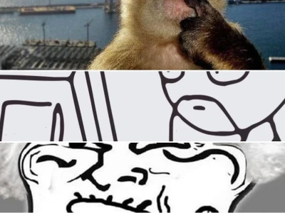 Bộ sưu tập suy nghĩ meme cực hài cho hội lầy lội 2026