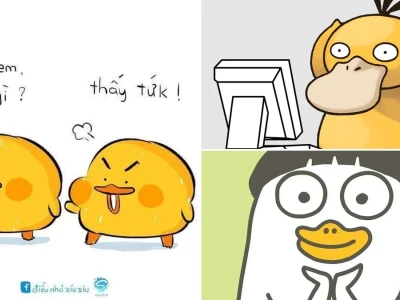 Bộ sưu tập vịt vàng meme cực bựa và siêu đáng yêu