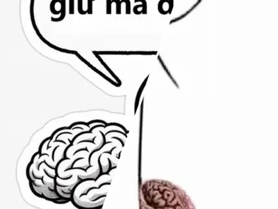 BST 33 Meme không não cực lầy cho hội bạn thân cà khịa