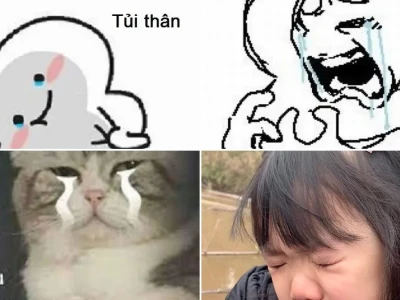 BST meme đau khổ lầy lội cho những tâm hồn mỏng manh