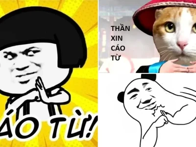 Chùm ảnh meme cáo từ cực chất dành cho cao nhân võ lâm