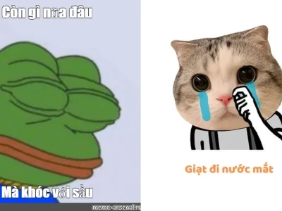Còn Gì Nữa Đâu Mà Khóc Với Sầu Meme: Phân Tích Sâu Sắc