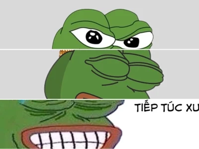Cười bò với meme ếch pepe biểu tượng huyền thoại Internet