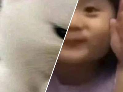 Cười nghiêng ngả với những mẫu em đồng ý meme siêu lầy