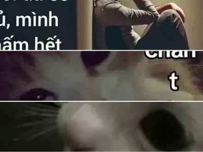 Cười ra nước mắt với bộ ảnh chia tay meme cực lầy lội