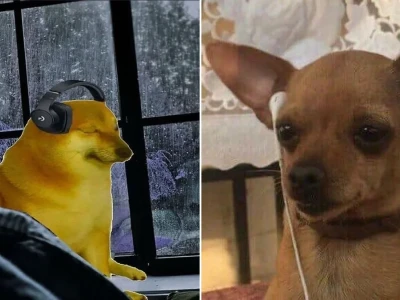 Cười té ghế với meme đeo tai nghe cực lầy lội