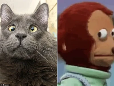 Hé lộ sự thật về meme mắt lác cực lầy lội