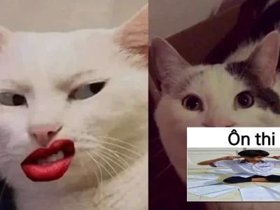 Kì thị meme trào lưu hay chiêu trò câu tương tác