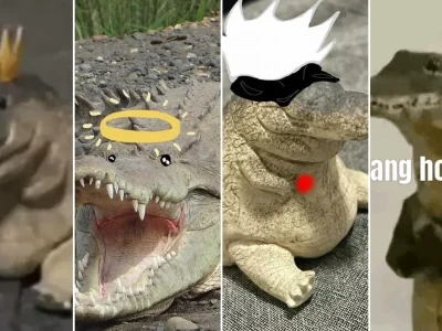Meme cá sấu hài hước đỉnh cao cho dân mạng hóng biến