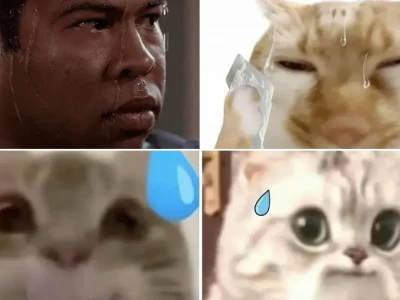 Meme đổ mồ hôi bí kíp sống sót khi đời quá nhiều drama