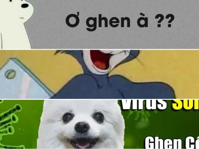 Meme Ghen Tình Huống Khó Nhịn Cười