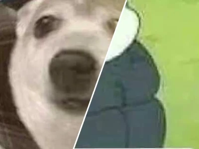 Meme hoang mang tổng hợp bộ ảnh chế cực lầy lội cho bạn