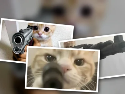 Meme mèo cầm súng bá đạo khiến dân mạng cười xỉu ngang