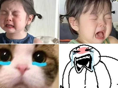 Meme mếu cực hài hước cho giới trẻ Gen Z lầy lội