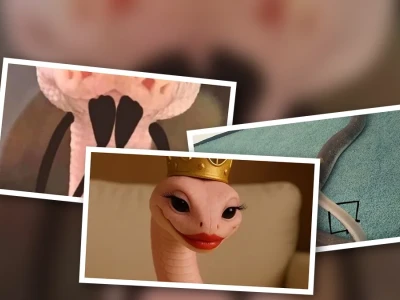 Meme rắn độc đáo cực hài hước cho dân mạng giải trí