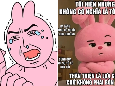 Meme thỏ hồng bộ ảnh chế ngại ngùng siêu lầy lội hot trend