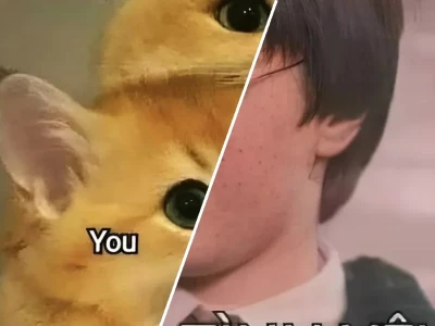 Meme tình yêu cực lầy giúp bạn đốn tim crush ngay lập tức