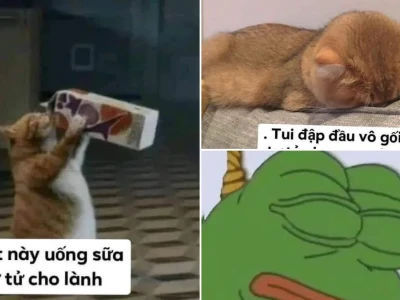 Meme tự tử cực hài cho genz xả stress đỉnh cao