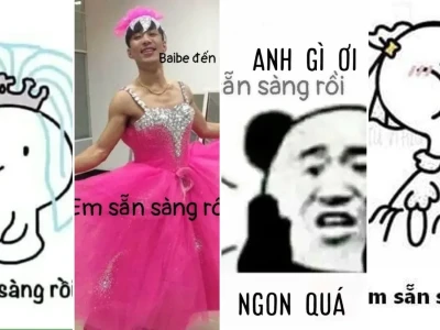 Sở hữu ngay bộ em sẵn sàng rồi meme cực lầy lội