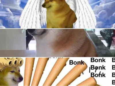 Sự thật thú vị về chú chó meme cheems huyền thoại mạng