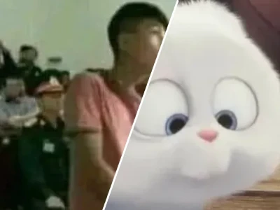 Sức hút khó cưỡng từ những chiếc vô tội meme cực lầy