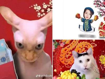 Sưu tầm 1000 mẫu tet meme hài hước bá đạo ngày Tết 2026