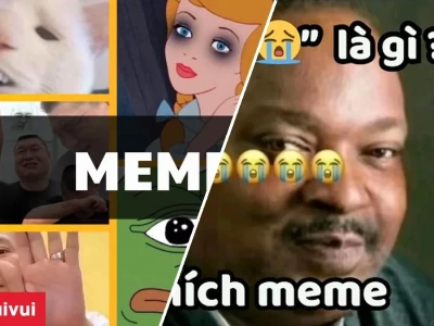 Thực hư meme nghĩa là gì mà dân tình lại phát cuồng