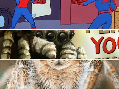 Tổng hợp các mẫu spider meme cười vỡ bụng cho fan cứng