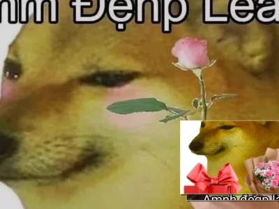 Tổng hợp meme em đẹp lắm cực lầy lội cho bạn giải trí