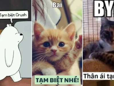 Tổng hợp meme tạm biệt lầy lội cho hội bạn thân