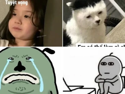 Tổng hợp những mẫu thất vọng meme siêu lầy lội cực hài