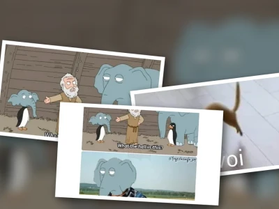 Top 101 ảnh voi meme cực lầy lội cười không nhặt được mồm